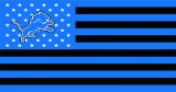 Detroit Lions Flag001 logo decal sticker