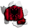 Fist Albania Flag Logo decal sticker