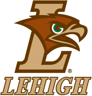 Lehigh Mountain Hawks 2004-Pres Alternate Logo 02 Sticker Heat Transfer