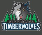 Minnesota Timberwolves Plastic Effect Logo Sticker Heat Transfer