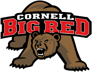 Cornell Big Red 1998-2001 Primary Logo Sticker Heat Transfer