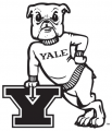 Yale Bulldogs 1972-1997 Primary Logo Sticker Heat Transfer
