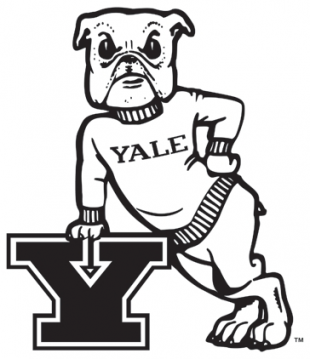 Yale Bulldogs 1972-1997 Primary Logo decal sticker