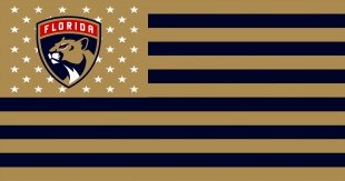 Florida Panthers Flag001 logo decal sticker