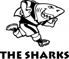 Sharks 2000-Pres Primary Logo decal sticker