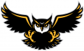 Kennesaw State Owls 2012-Pres Alternate Logo 01 Sticker Heat Transfer