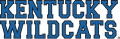 Kentucky Wildcats 1989-2004 Wordmark Logo Sticker Heat Transfer