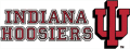 Indiana Hoosiers 1982-2001 Wordmark Logo Sticker Heat Transfer