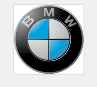 BMW Logo 05 decal sticker