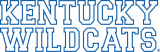 Kentucky Wildcats 2005-2015 Wordmark Logo 01 Sticker Heat Transfer
