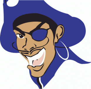 Hampton Pirates 1997-2001 Primary Logo decal sticker