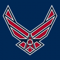 Airforce Los Angeles Angels of Anaheim Logo decal sticker