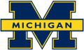 Michigan Wolverines 1996-2011 Primary Logo decal sticker