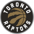 Toronto Raptors 2015-Pres Alternate Logo decal sticker