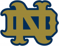 Notre Dame Fighting Irish 1994-Pres Alternate Logo 17 decal sticker