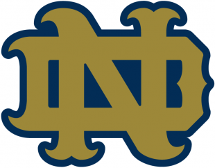 Notre Dame Fighting Irish 1994-Pres Alternate Logo 17 decal sticker