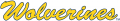 Michigan Wolverines 1996-Pres Wordmark Logo 12 decal sticker