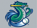 Vermont Lake Monsters 2006-2013 Cap Logo 2 decal sticker