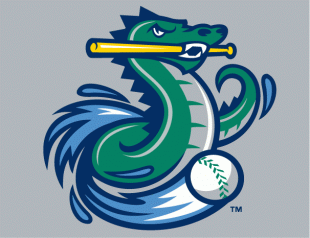 Vermont Lake Monsters 2006-2013 Cap Logo 2 Sticker Heat Transfer