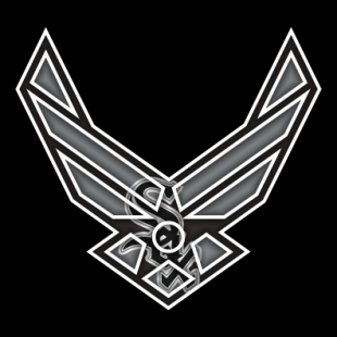Airforce Chicago White Sox Logo decal sticker