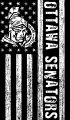 Ottawa Senators Black And White American Flag logo Sticker Heat Transfer