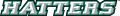 Stetson Hatters 2008-2017 Wordmark Logo decal sticker