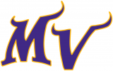 Minnesota Vikings 2004-Pres Alternate Logo decal sticker