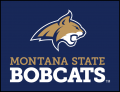 Montana State Bobcats 2013-Pres Alternate Logo 05 Sticker Heat Transfer