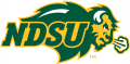 North Dakota State Bison 2012-Pres Primary Logo Sticker Heat Transfer