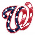 Washington Nationals Crystal Logo decal sticker