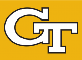 Georgia Tech Yellow Jackets 1991-Pres Alternate Logo decal sticker