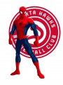 Atlanta Hawks Spider Man Logo Sticker Heat Transfer