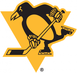 Pittsburgh Penguins 2018 19 Special Event Logo Sticker Heat Transfer