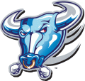 Buffalo Bulls 1997-2006 Alternate Logo decal sticker