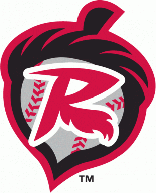 Richmond Flying Squirrels 2010-Pres Alternate Logo Sticker Heat Transfer