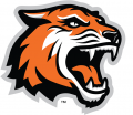RIT Tigers 2004-Pres Alternate Logo Sticker Heat Transfer