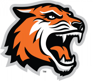 RIT Tigers 2004-Pres Alternate Logo decal sticker