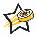 Boston Bruins Hockey Goal Star logo decal sticker