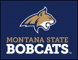 Montana State Bobcats 2013-Pres Alternate Logo 05 decal sticker