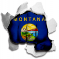 Fist Montana State Flag Logo Sticker Heat Transfer