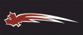 Vancouver Giants 2001 02-Pres Alternate Logo 2 decal sticker