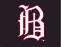 Birmingham Barons 2008-Pres Cap Logo Sticker Heat Transfer