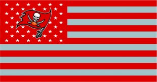 Tampa Bay Buccaneers Flag001 logo decal sticker