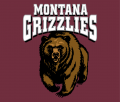 Montana Grizzlies 1996-Pres Primary Dark Logo 01 decal sticker