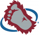 Colorado Avalanche 1995 96-1998 99 Secondary Logo decal sticker