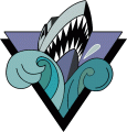 Rimouski Oceanic 1995 96-1998 99 Primary Logo decal sticker