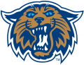 Villanova Wildcats 2004-Pres Alternate Logo 03 Sticker Heat Transfer