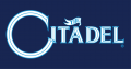 The Citadel Bulldogs 2000-Pres Wordmark Logo Sticker Heat Transfer