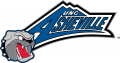 North CarolinaAsheville Bulldogs 1998-2005 Primary Logo Sticker Heat Transfer