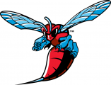 Delaware State Hornets 2004-Pres Primary Logo decal sticker